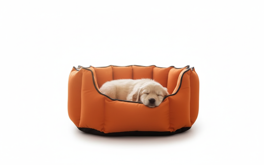 Pets Empire Cozy Tangerine Orange Bed for Dogs & Puppies
