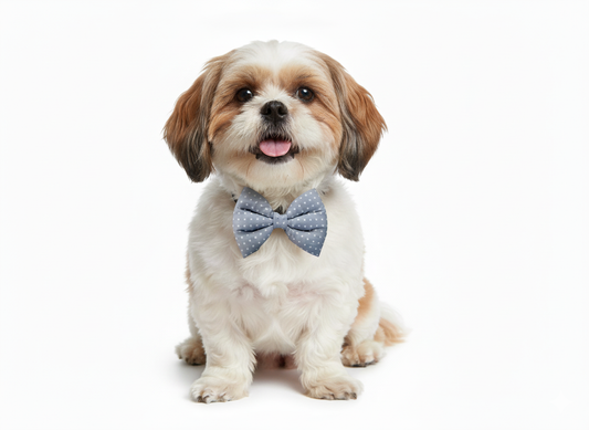 Pets Empire Soft Polka Bow-Tie