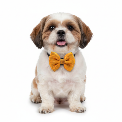 Pets Empire Traditional Dog & Cat  Bow for Weddings, Festivals (Yellow)