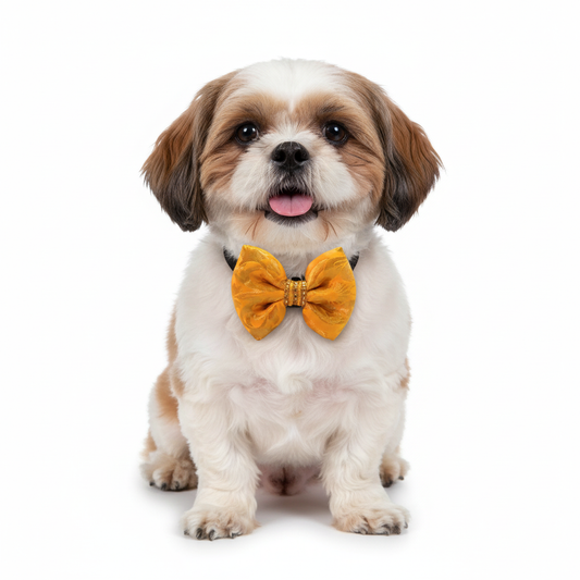 Pets Empire Traditional Dog & Cat  Bow for Weddings, Festivals (Yellow)