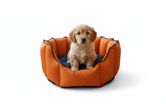 Pets Empire Cozy Pumpkin Spice Bed for Dogs & Puppies