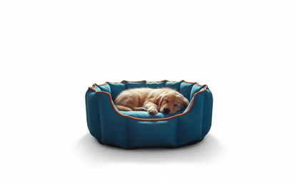 Pets Empire Cozy Electric Blue Bed for Dogs & Puppies