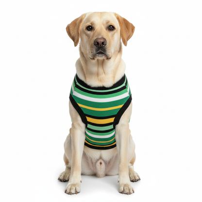 Pets Empire Warm  Winter Sweater for Dogs (Multicolor Geen)