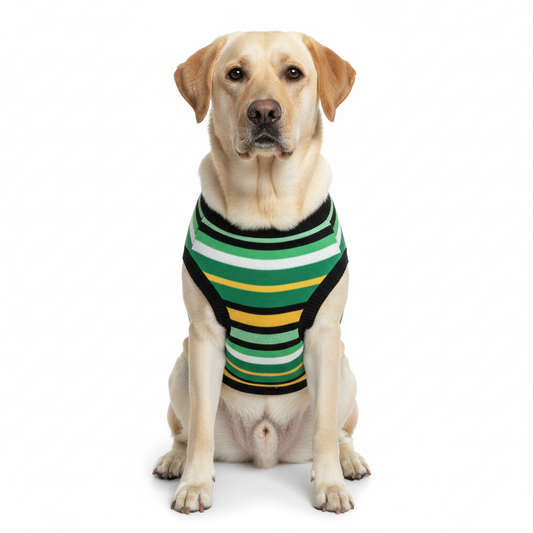 Pets Empire Warm  Winter Sweater for Dogs (Multicolor Geen)