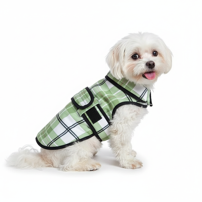 Pets Empire Winter Jacket for Dogs - Light Green