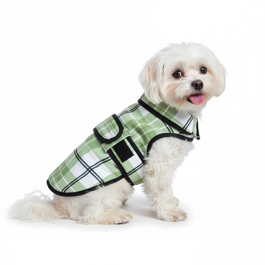Pets Empire Winter Jacket for Dogs - Light Green