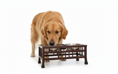 Pets Empire Square Metal Double Diner