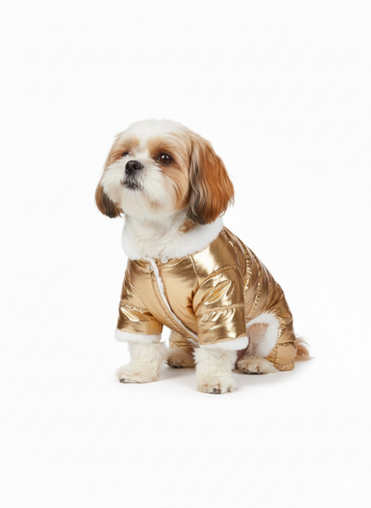 Pets Empire Metallic Golden Puffer Jacket for Small Dogs (Full)