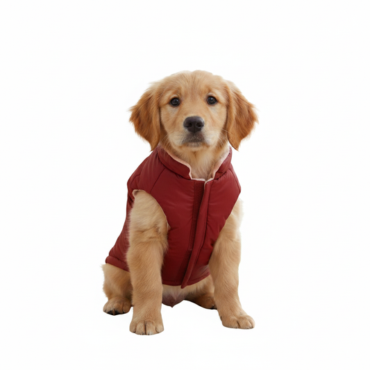 Pets Empire Reversible Winter Jacket for Dogs-Red