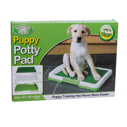 Pets Empire Potty Training Grass Tray for Dogs