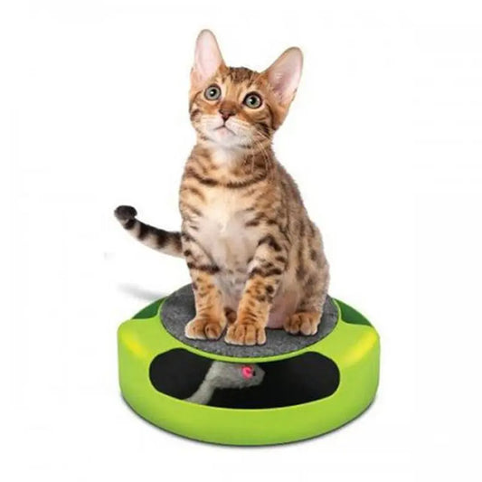 Pets Empire Running Mice and a Scratching Pad for Cat