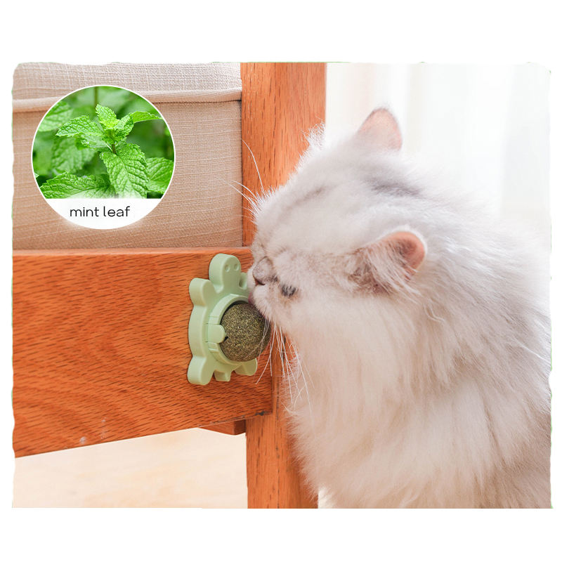 PETS EMPIRE Catnip Wall Ball Teeth Cleaning Cat Toy (Pack of 3)