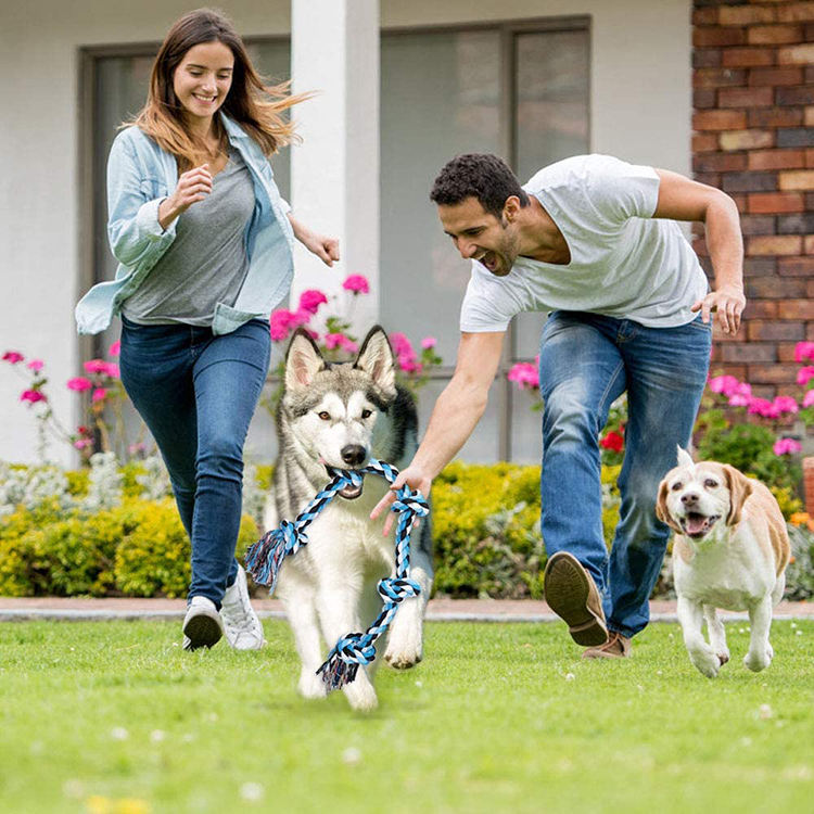 Pets Empire Combo of Rope Toy Medium Breed Dogs- (Pack of 6)
