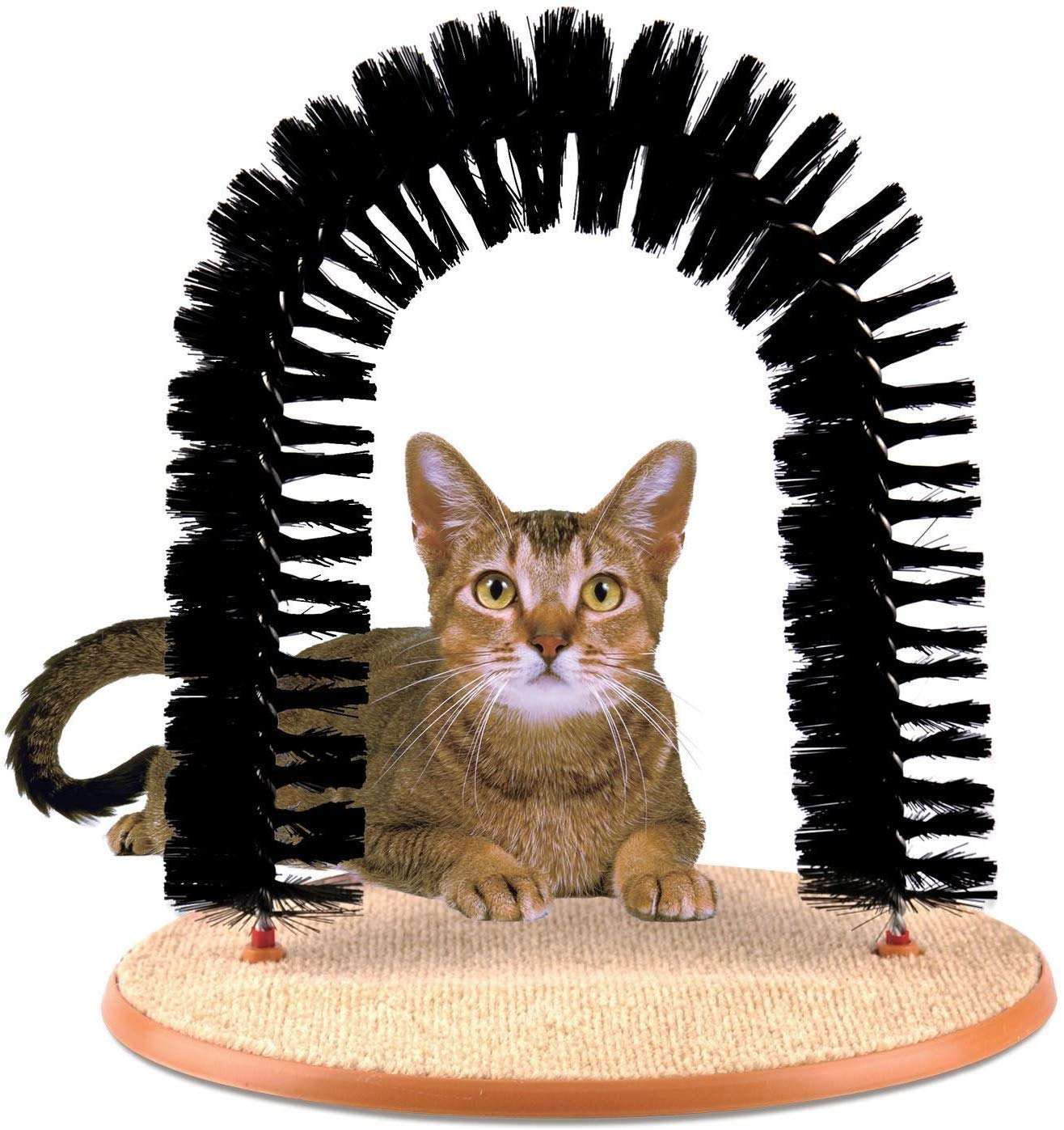 PETS EMPIRE Arch Self Groomer For Cat