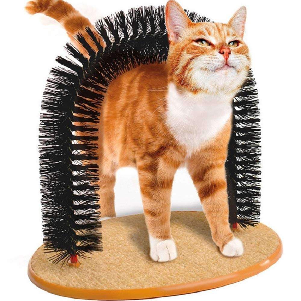 PETS EMPIRE Arch Self Groomer For Cat