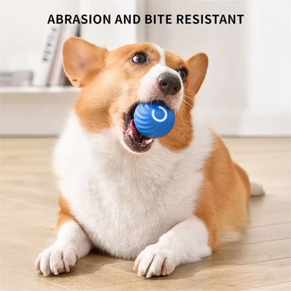 Pets Empire Automatic electric intelligent dog cat jumping ball