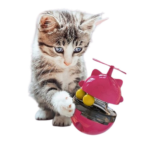 Pets Empire Food Dispenser IQ Training Cat Toy