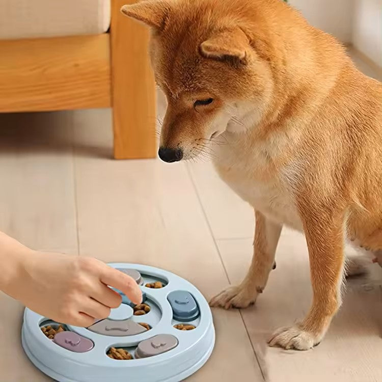 Pets Empire Hide & Seek Treat Training Dog Puzzle Toys