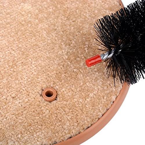 PETS EMPIRE Arch Self Groomer For Cat