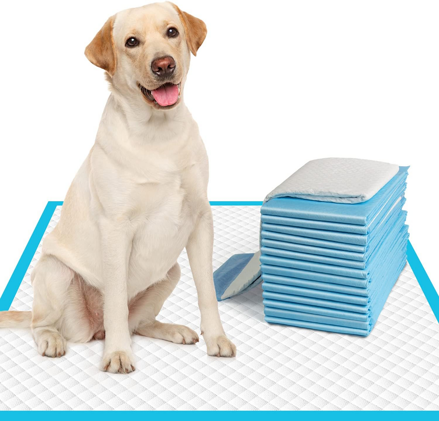 Pets Empire Puppy Potty Training Pads - SIZE- 60 X 60 cm
