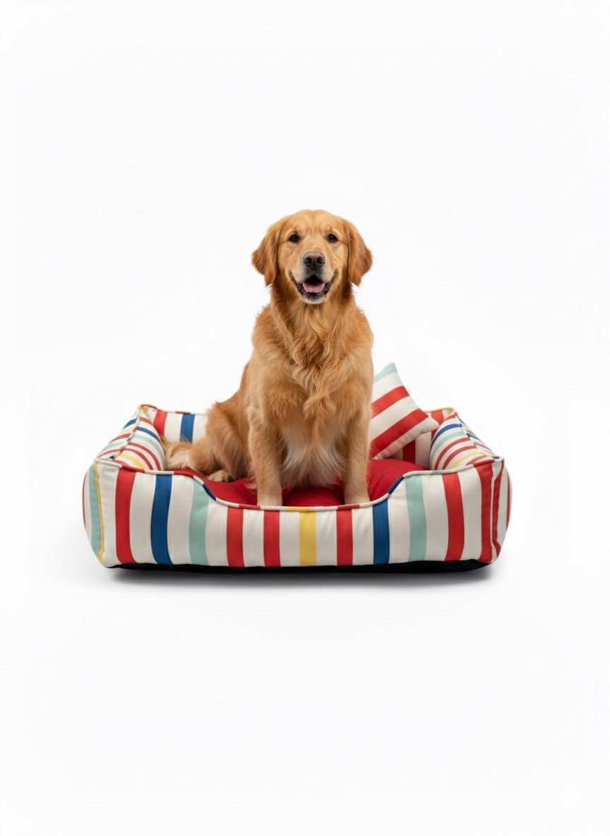 Pets Empire Rainbow Retreat Bed for Dogs