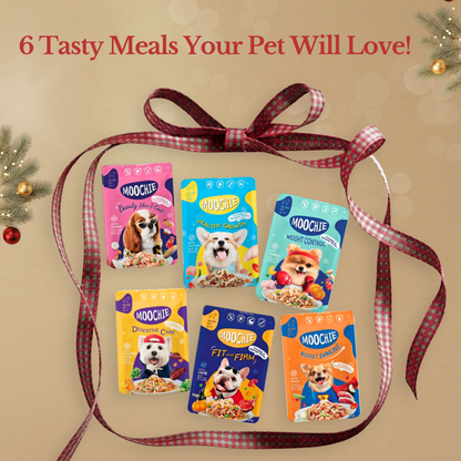 Moochie Christmas Joy Wet Food Variety Hamper – 6-Pack for Dogs