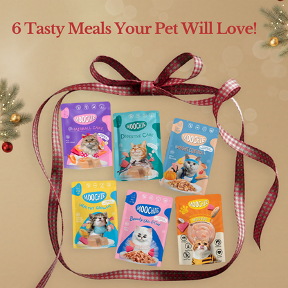 Moochie Christmas Joy Wet Food Variety Hamper – 6-Pack for Cats