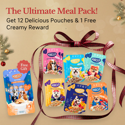 Pets Empire Moochie Christmas Hamper for Dogs – 2×Each Flavor + 1 Extra Variety Pack FREE (13 Pouches)