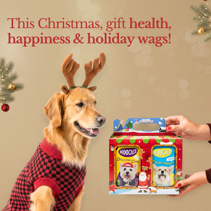 Moochie Christmas Joy Wet Food Variety Hamper – 6-Pack for Dogs