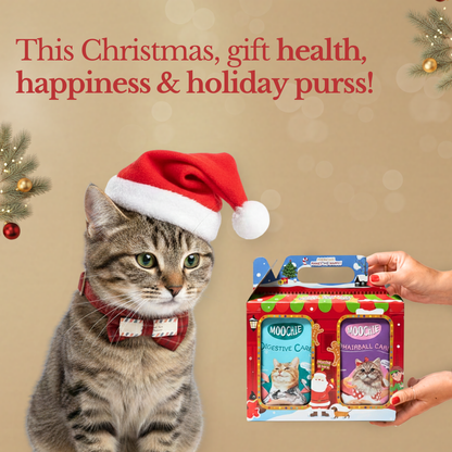 Moochie Christmas Joy Wet Food Variety Hamper – 6-Pack for Cats