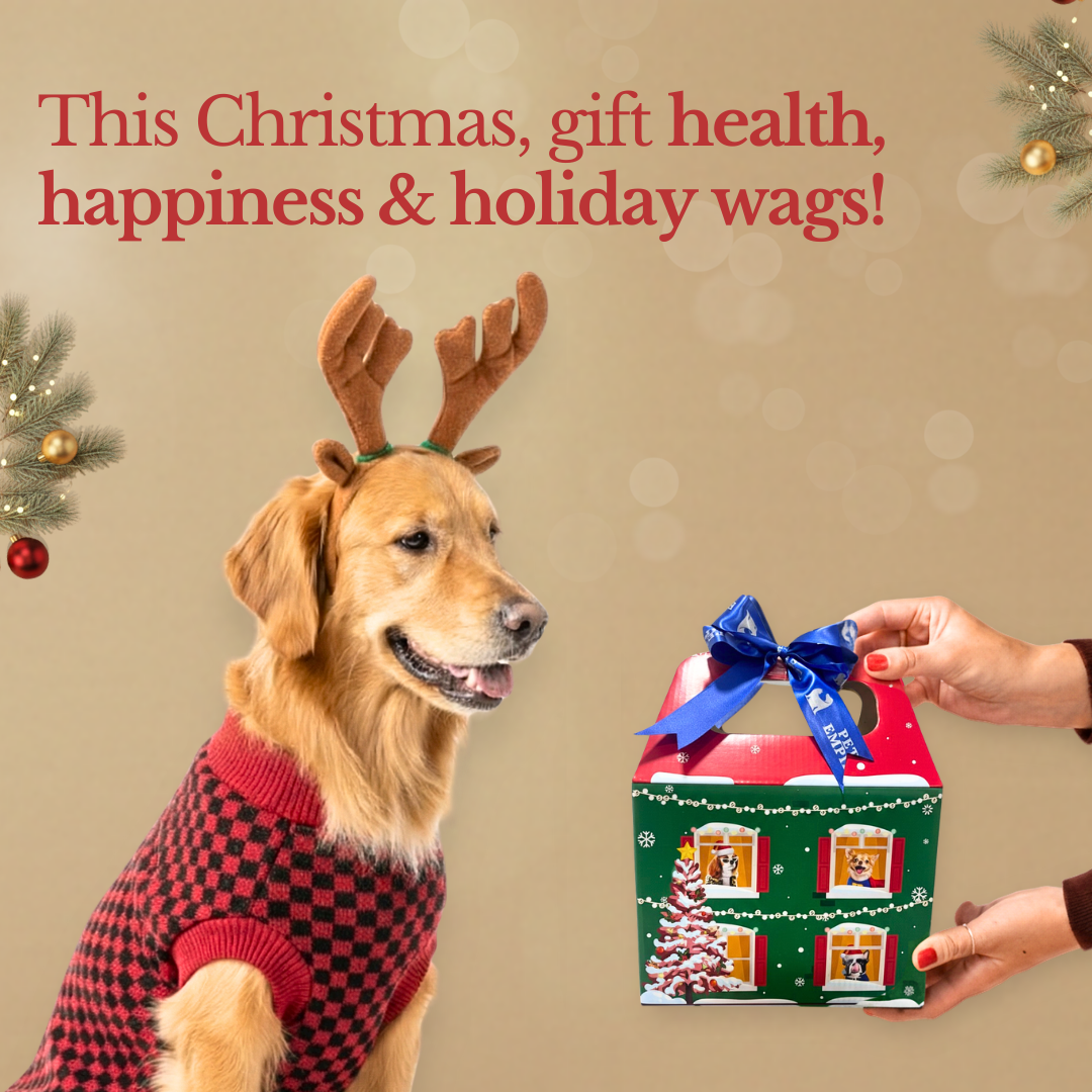 Pets Empire Moochie Christmas Hamper for Dogs – 2×Each Flavor + 1 Extra Variety Pack FREE (13 Pouches)