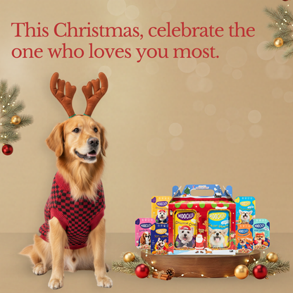 Moochie Christmas Joy Wet Food Variety Hamper – 6-Pack for Dogs