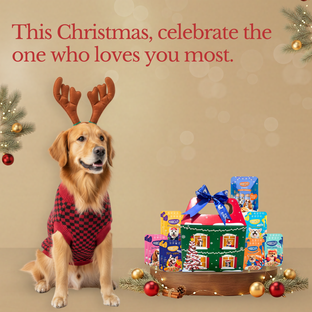 Pets Empire Moochie Christmas Hamper for Dogs – 2×Each Flavor + 1 Extra Variety Pack FREE (13 Pouches)