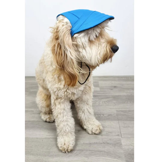 Pets Empire Sporty Cap for Dogs
