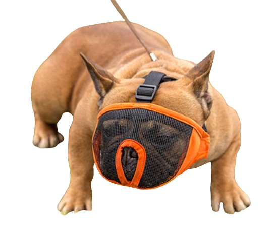 Pets Empire Snout Muzzle for Dogs