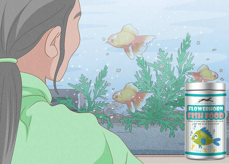 Pets Empire Daily Nutrition Flowerhorn Fish Food