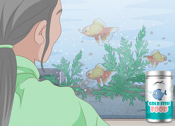 Pets Empire Daily Nutrition Gold Fish Food for Aquariums