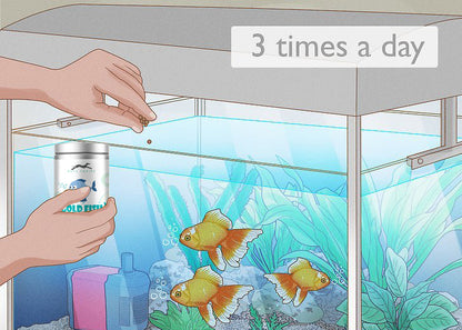 Pets Empire Daily Nutrition Gold Fish Food for Aquariums