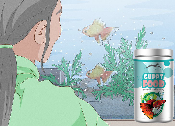 Pets Empire Guppy Adult Fish Food, Powerful Color Enhancing Diet for All Guppies, 40g