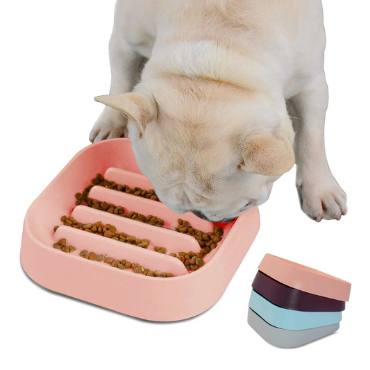 Pets Empire Dog Anti-Choking Feeding Bowl ( Color May Vary)