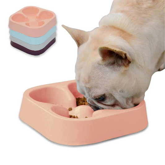 Pets Empire Healthy Slow Feeding Dog Bowl for French Bulldog( Colour May Vary)