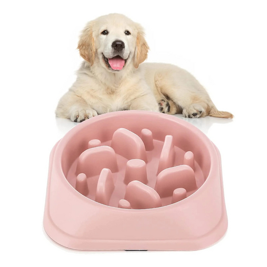 Pets Empire Slow Feeder Plastic  Dog Bowl - 1 piece (200ML)