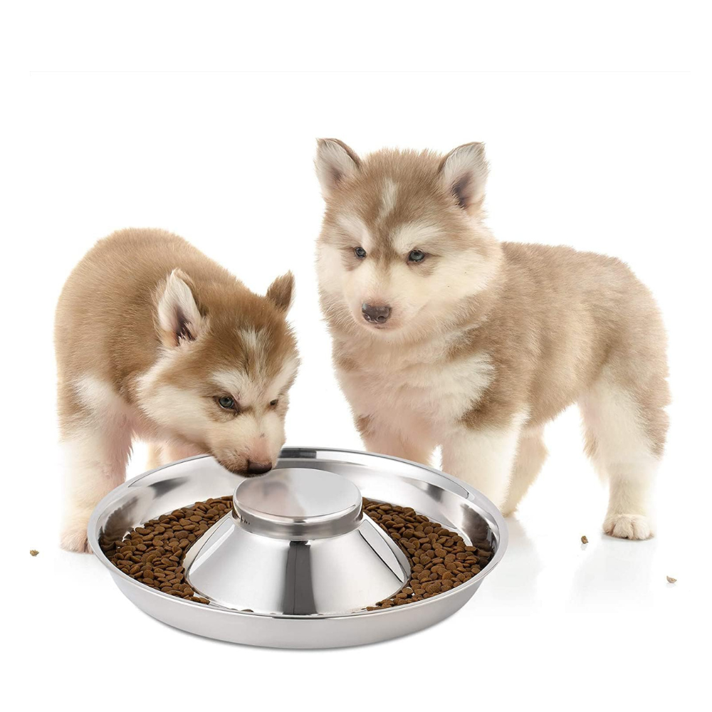 Pets Empire Stainless Steel Slow Feeding Dish
