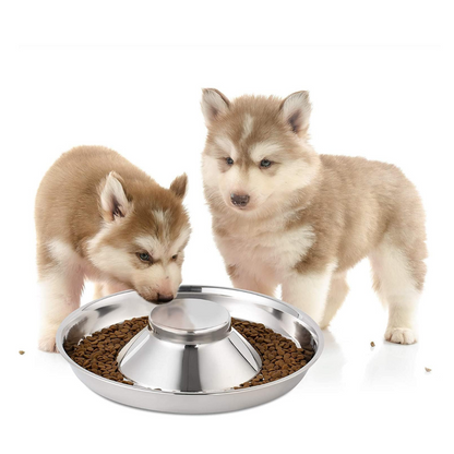 Pets Empire Stainless Steel Slow Feeding Dish