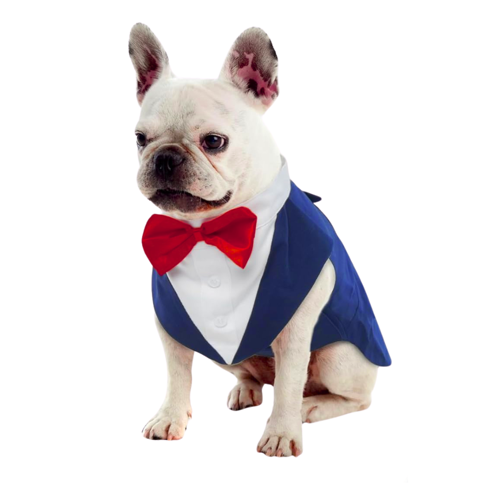 Pets Empire Dog Tuxedo Dress Suit Bandana Set( Navy Blue Colour)