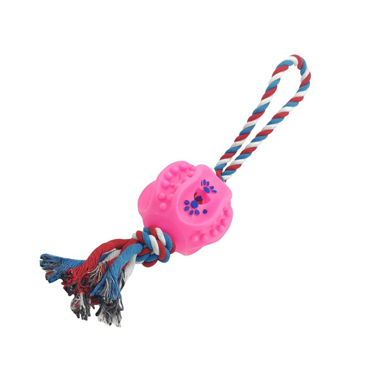 Pets Empire Ball Toy for Dogs (Color May Vary)