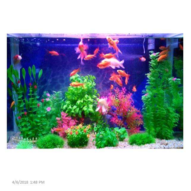 Pets Empire Aquamarine Artificial Green Grass Water Plant for Fish Tank (Pack of 2)