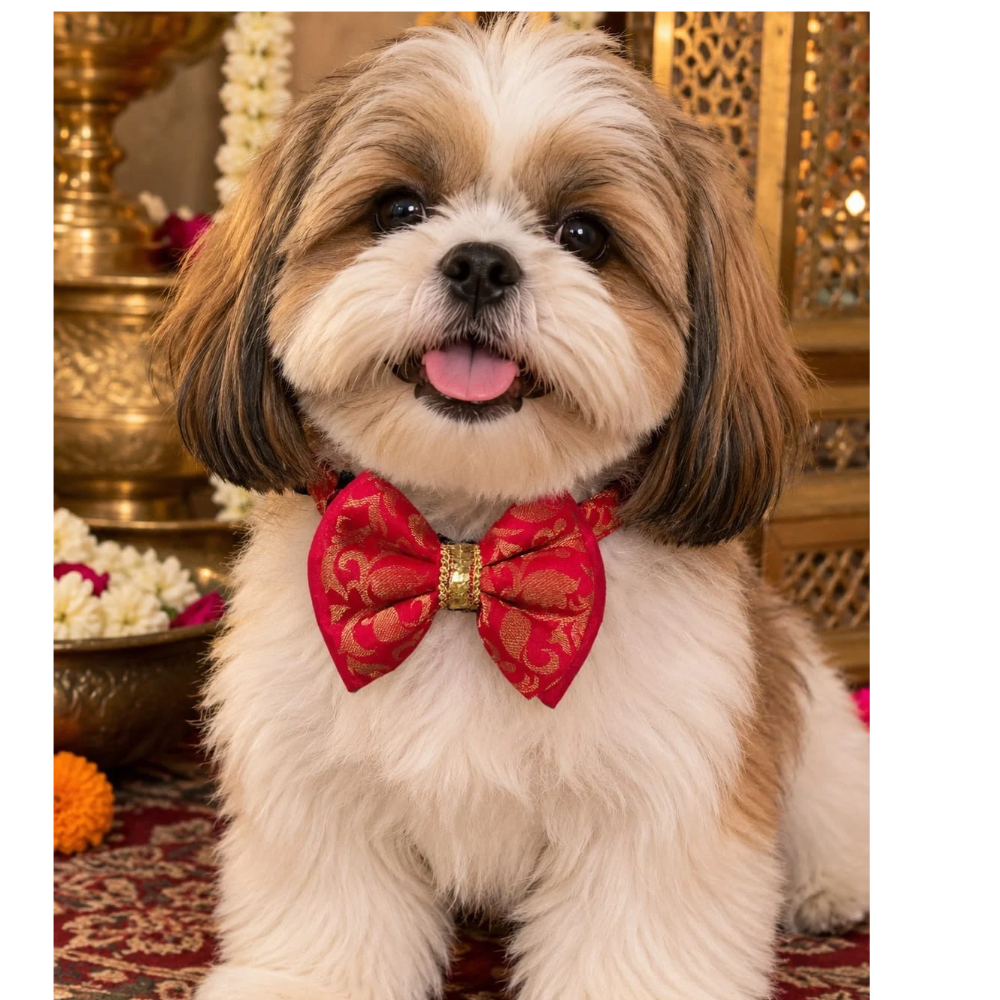 Pets Empire Ethnic Designer Dog Bow Tie Collar- Red