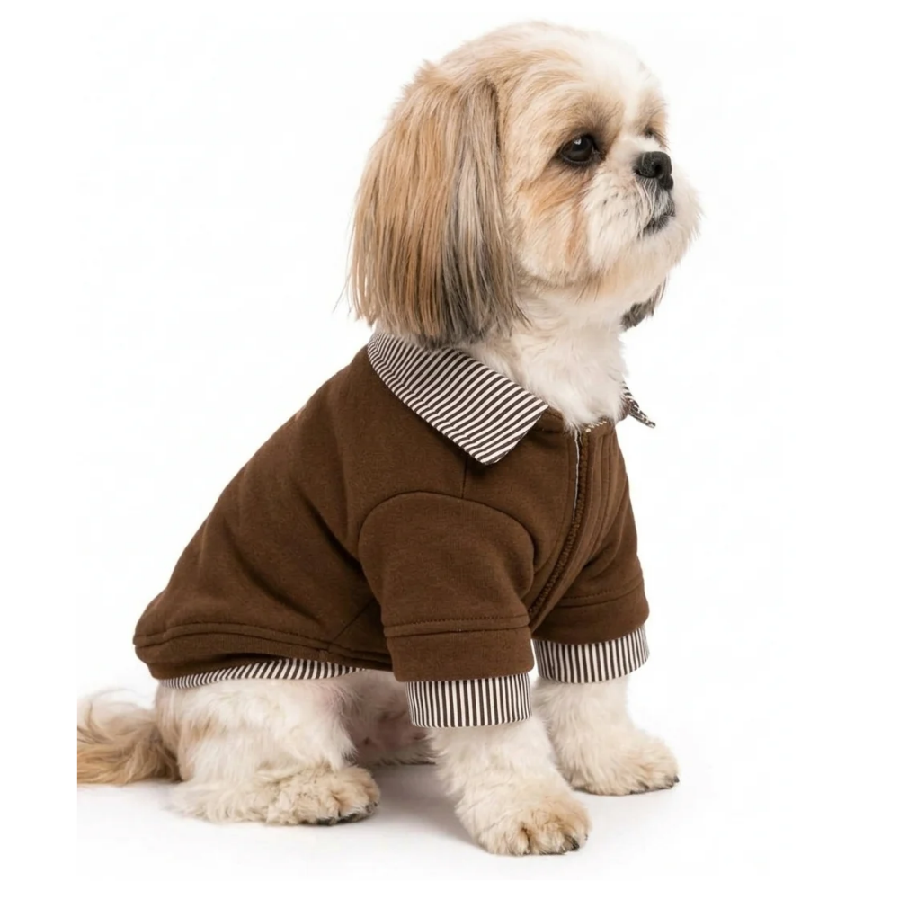Pets Empire Brown Sweatshirt Striped Collar & Cuffs