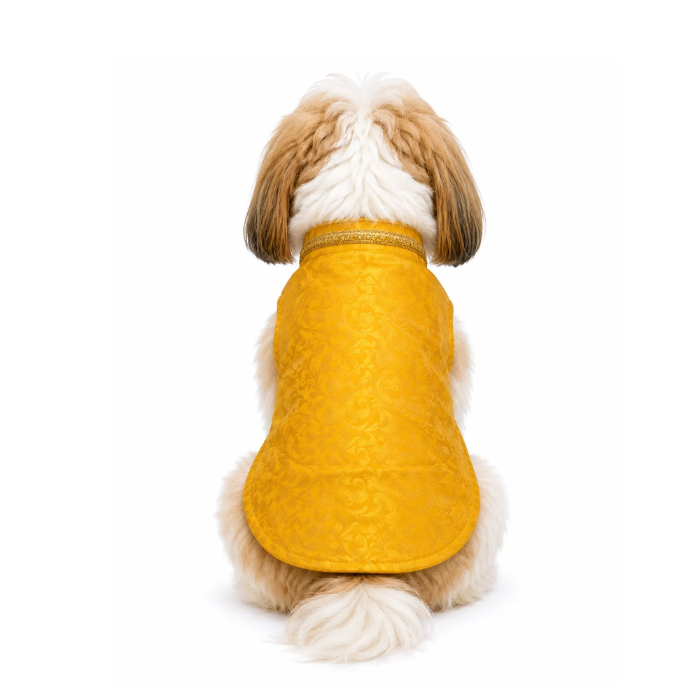 Pets Empire Premium Ethnic Kurta For Small Dogs- Yellow